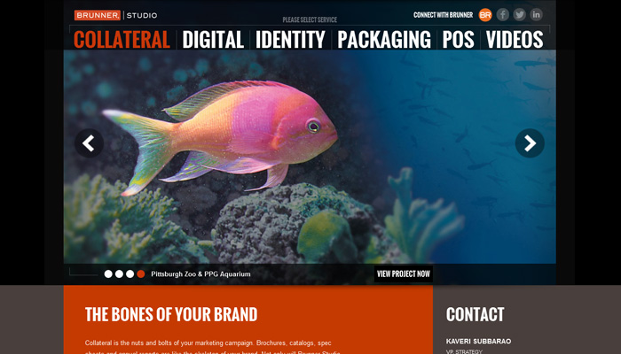 Brunner Studio Website